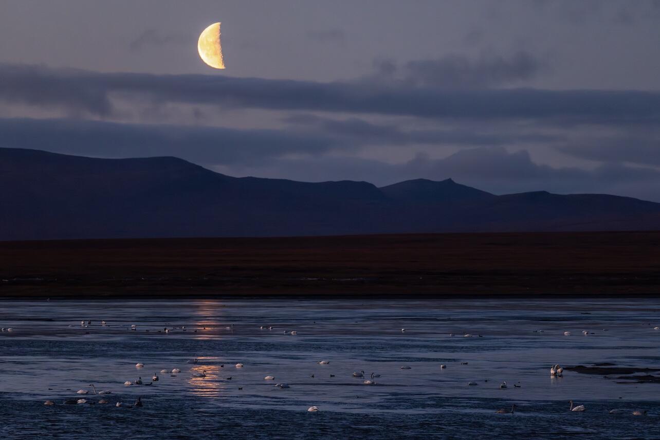 Moon over mountains and sound