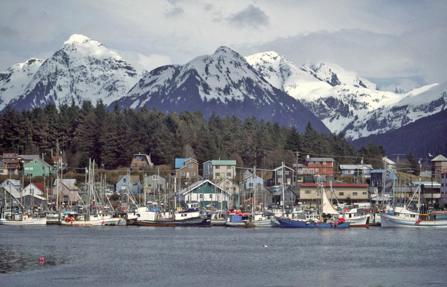 sitka-audubon-alaska