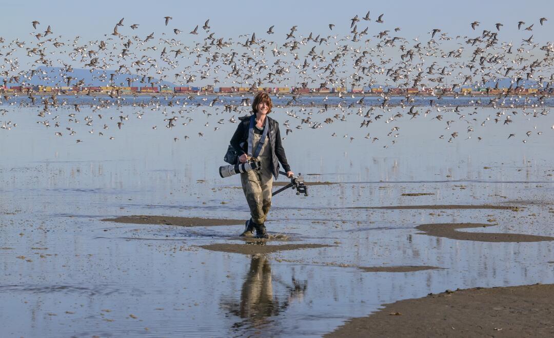 Woman walking on bank among birds in flight