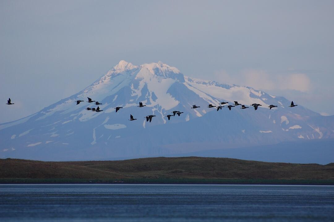 Izembek National Wildlife Refuge